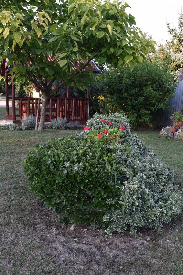Prokop Vendeghaz Hotel Tolcsva Buitenkant foto